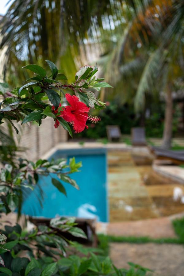 Casa Fufi Hotel Jijoca de Jericoacoara Buitenkant foto